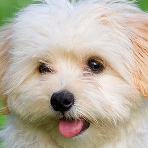 Meet your Posher, Stacey